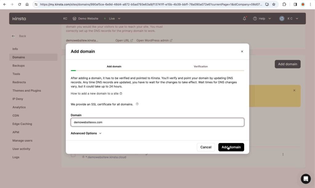Kinsta Screenshot showing how to add the new domain name.