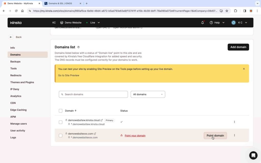 Kinsta Screenshot showing how to point the domain name.