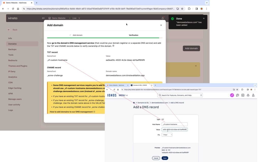 Kinsta Screenshot showing how to verify the TXT DNS record.