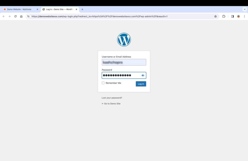 Kinsta Screenshot showing the WP Admin login page.