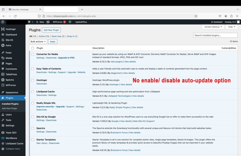 WordPress plugins page screenshot showing no enable/disable auto-update option for the installed plugins.